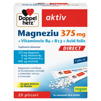 Illustration of the product packaging Doppelherz aktiv Magneziu 375 front view