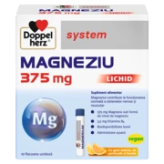Doppelherz system MAGNEZIU 375 MG LICHID Vedere frontală