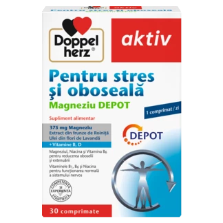 Illustration of the product packaging Doppelherz aktiv Pentru Stres și Oboseală front view