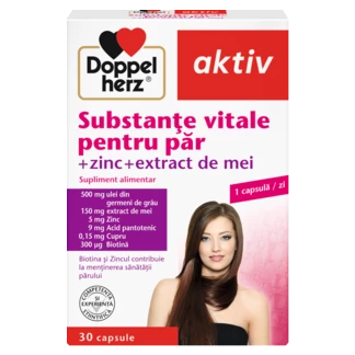 Illustration of the product packaging Doppelherz aktiv Substanțe Vitale pentru Păr front view